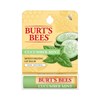 Burt's Bees Cucumber Mint Lip Balm 4.25g