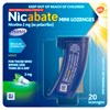 Nicabate Mini Lozenge Quit Smoking Nicotine 2mg Regular Strength Mint 20 Pack