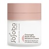 The Jojoba Company Intense Overnight Renewal Cream 50mL