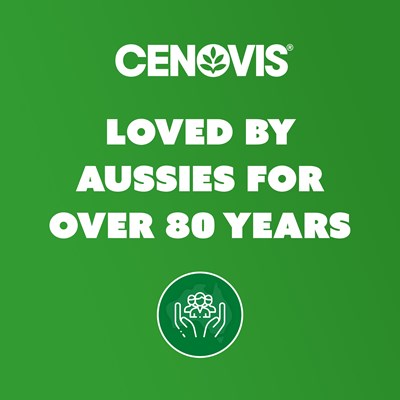 Cenovis Kids Vitamin C 250g Strawberry Flavour 150 Chewable Tablets