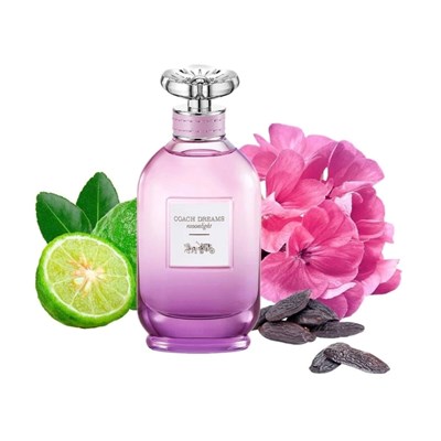 Coach Dreams Moonlight Eau de Parfum 40mL