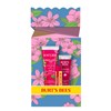 Burt's Bees You're One in a Melon Gift Set 3 Pack