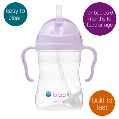 b.box Sippy Cup Boysenberry 240mL