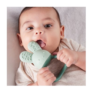 b.box Chill + Fill Teether - Sage